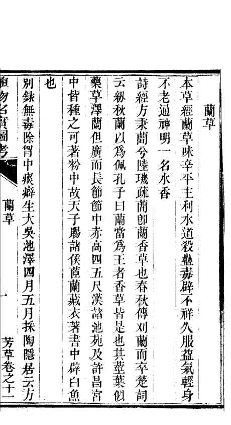 植物名实图考长编  第十一卷